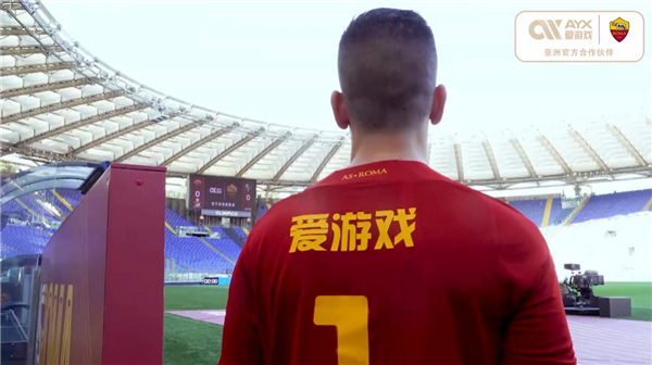 应对能力